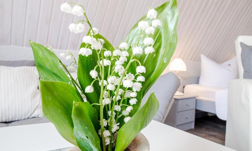 Sonnenblumenhaus 02 Apartment Prerow Luaran gambar
